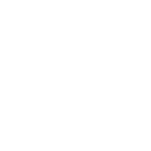 ZiZi Gallery Logo